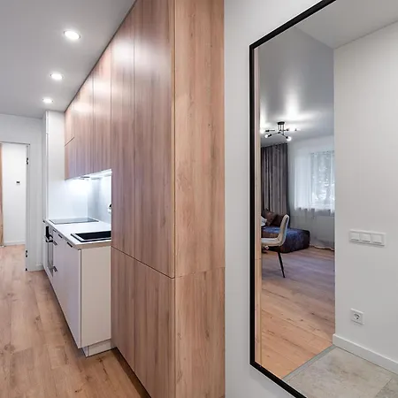 Apartmán Modern 2 Bedroom Vytenio In Centre I Self Check-in